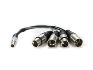 XLR Breakout Cable